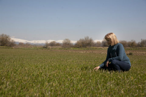 Mujer agricultora en un campo de cereal