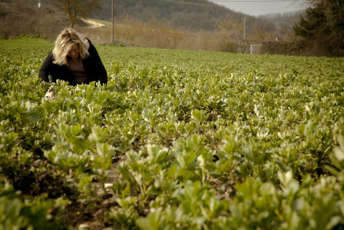 Agricultora en finca de remolacha
