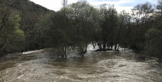 Riada del 12 de abril