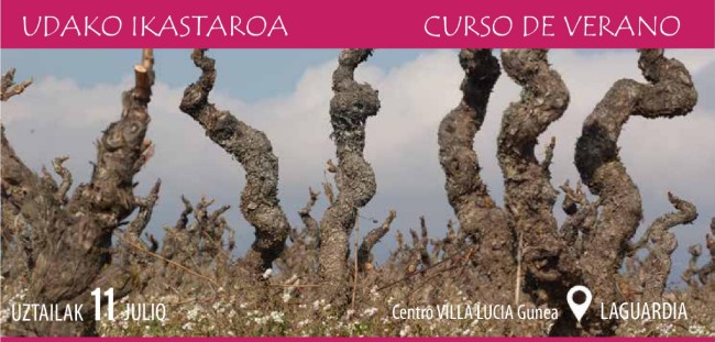 imagen del cartel del curso