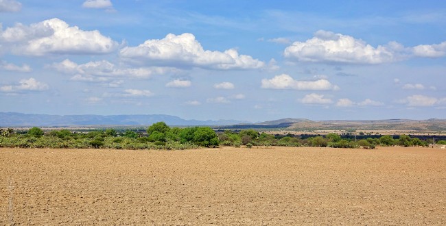 paisaje finca sin sembrar