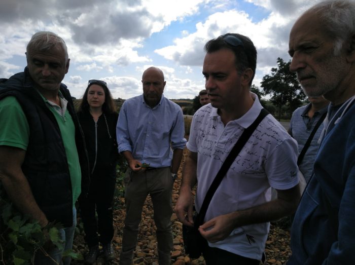 visita a Ausejo y Alcanadre