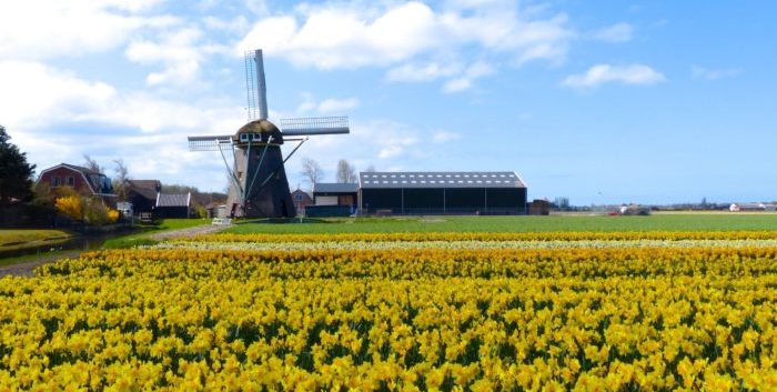Finca con molino en Europa