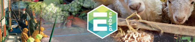 Logo del plan Preven