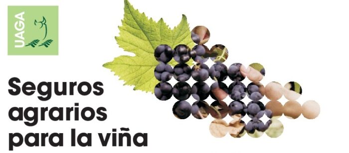 imagen jornada seguros