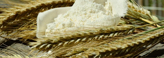 Espigas de trigo y harina