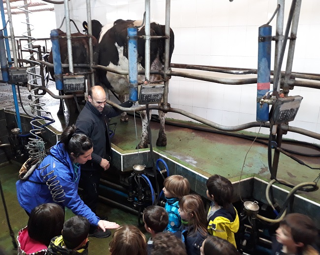 Niños en una visita escolar