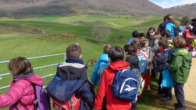 Niños en una visita escolar