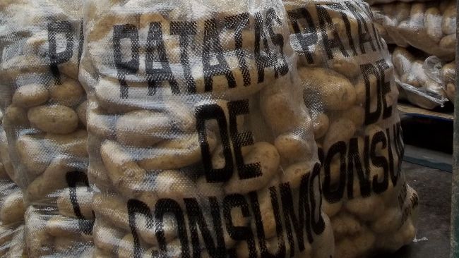 sacos de patata de consumo